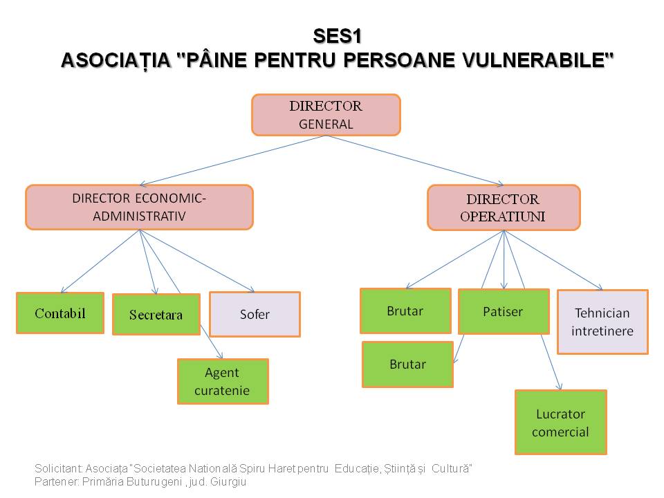SES_1_organigrama